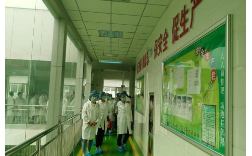 值公司成立十周年慶典，公司贊助萬名老人免費游寧夏系列活動
